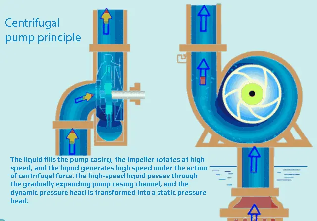 How the Pump Works-500×300-02