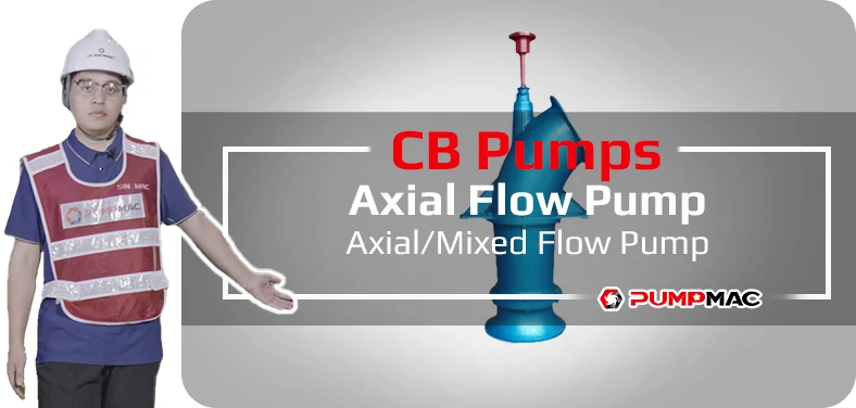 Ebara XBD-FS Fire Pump Video