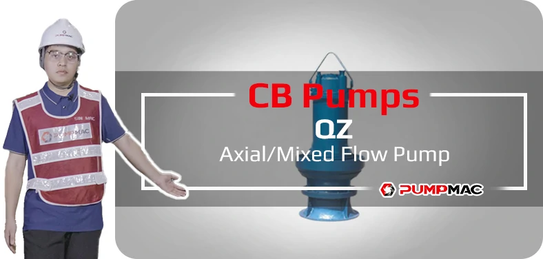 Ebara XBD-FS Fire Pump Video