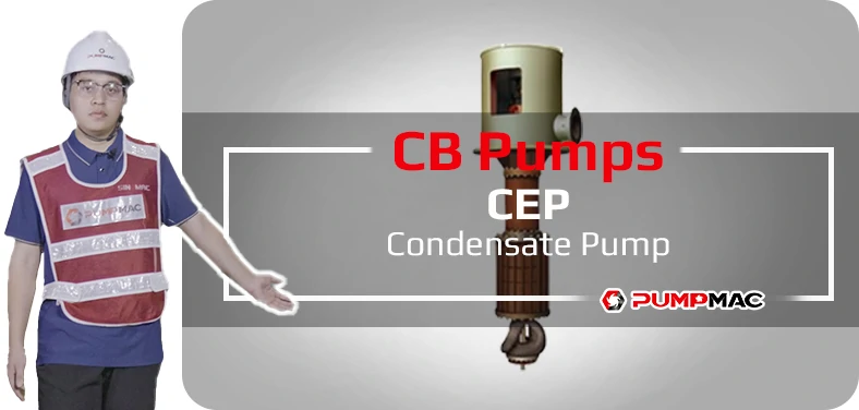 Ebara XBD-FS Fire Pump Video